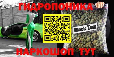 крисы Будённовск