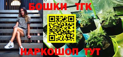 крисы Будённовск