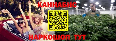 крисы Будённовск