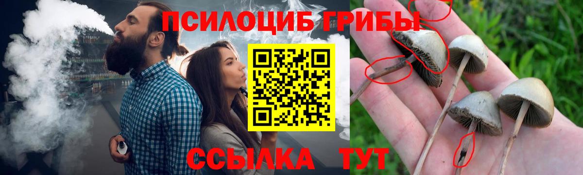 Псилоцибиновые грибы Cubensis  Псилоцибиновые грибы Magic Shrooms  Вход с VPN  Челябинск 